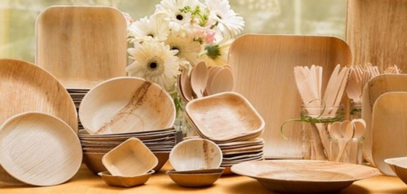 Areca Leaf Products